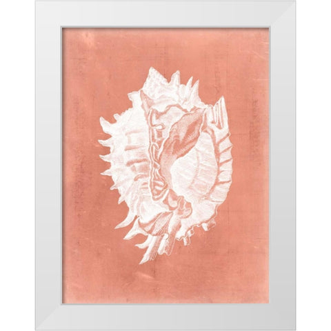 Sealife on Coral VI White Modern Wood Framed Art Print by Vision Studio