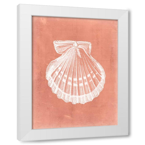 Sealife on Coral VII White Modern Wood Framed Art Print by Vision Studio