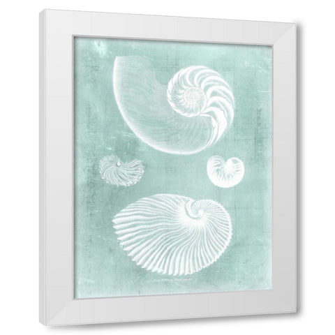Nautilus on Spa II White Modern Wood Framed Art Print by Vision Studio