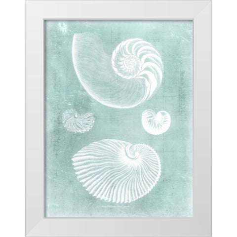 Nautilus on Spa II White Modern Wood Framed Art Print by Vision Studio