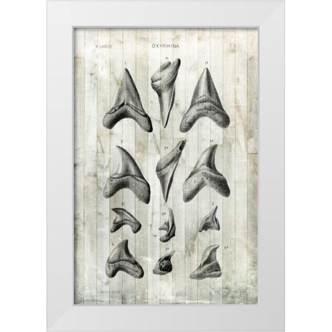 Relic Hunter II White Modern Wood Framed Art Print by Vision Studio
