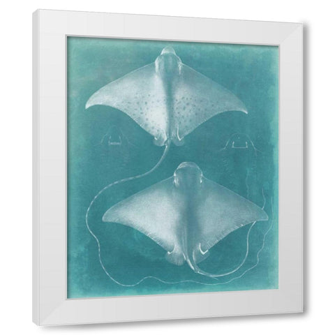 Morning Swim I White Modern Wood Framed Art Print by Vision Studio