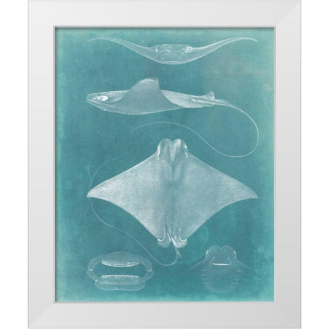 Morning Swim II White Modern Wood Framed Art Print by Vision Studio