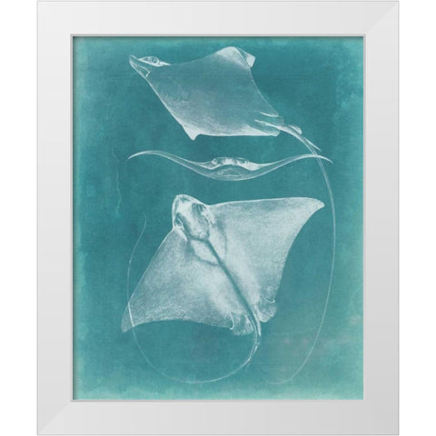 Morning Swim III White Modern Wood Framed Art Print by Vision Studio