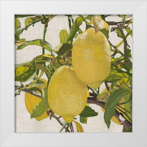 Bright Citrus III (ASH) White Modern Wood Framed Art Print by McCavitt, Naomi