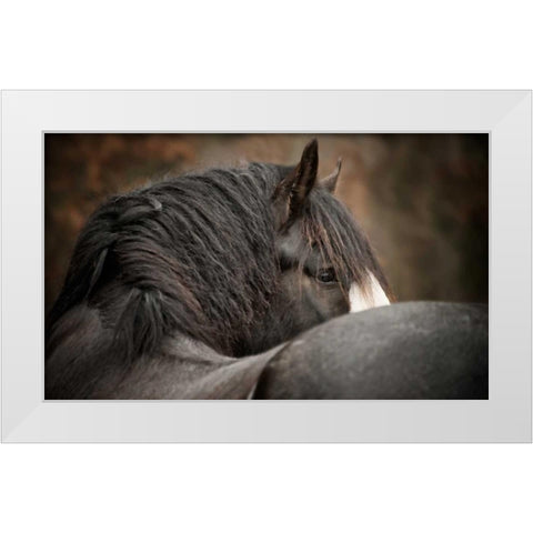 Looking Back White Modern Wood Framed Art Print by PHBurchett