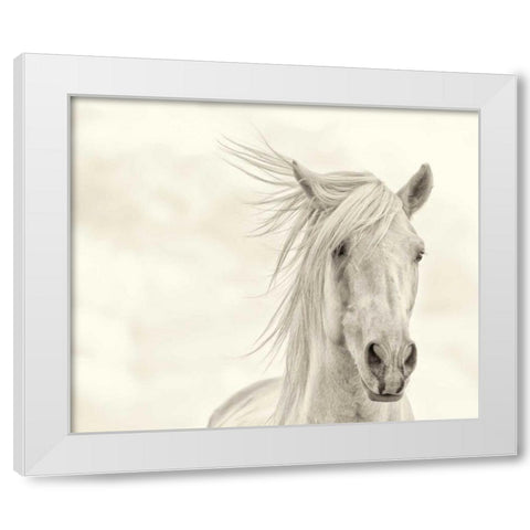 Wind Blown Mane I White Modern Wood Framed Art Print by PHBurchett