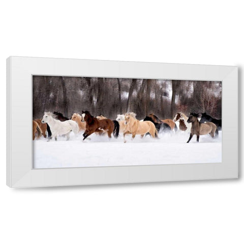 Snow Run II White Modern Wood Framed Art Print by PHBurchett