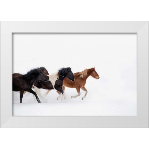 Snow Run IV White Modern Wood Framed Art Print by PHBurchett