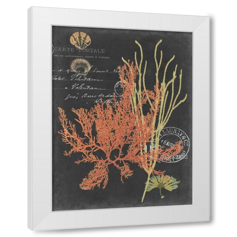 Coastal Post II White Modern Wood Framed Art Print by Studio W