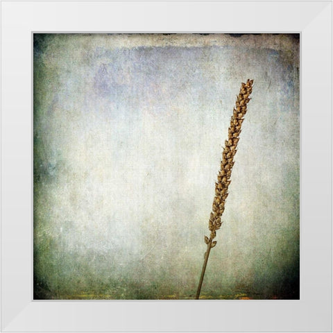 Grunge Remnants I White Modern Wood Framed Art Print by Malek, Honey