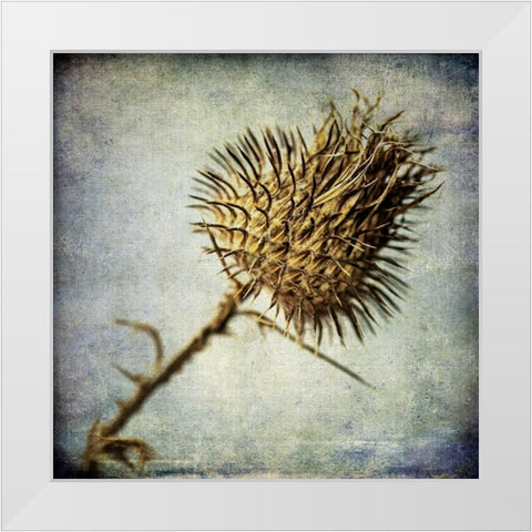 Grunge Remnants II White Modern Wood Framed Art Print by Malek, Honey