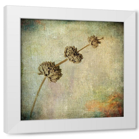 Grunge Remnants IV White Modern Wood Framed Art Print by Malek, Honey