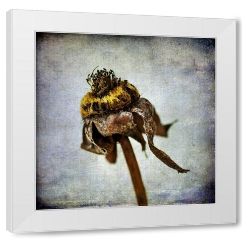 Grunge Remnants VII White Modern Wood Framed Art Print by Malek, Honey