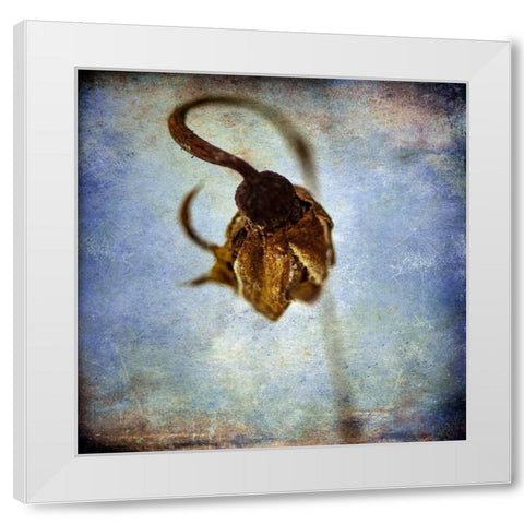 Grunge Remnants VIII White Modern Wood Framed Art Print by Malek, Honey