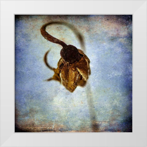 Grunge Remnants VIII White Modern Wood Framed Art Print by Malek, Honey