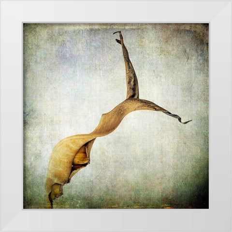 Grunge Remnants IX White Modern Wood Framed Art Print by Malek, Honey