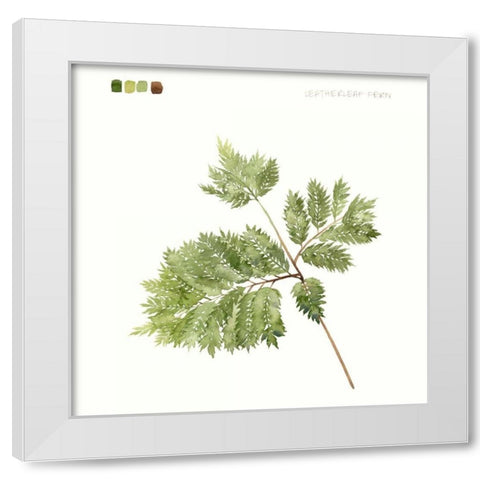 Watercolor Leaf Study II White Modern Wood Framed Art Print by Popp, Grace