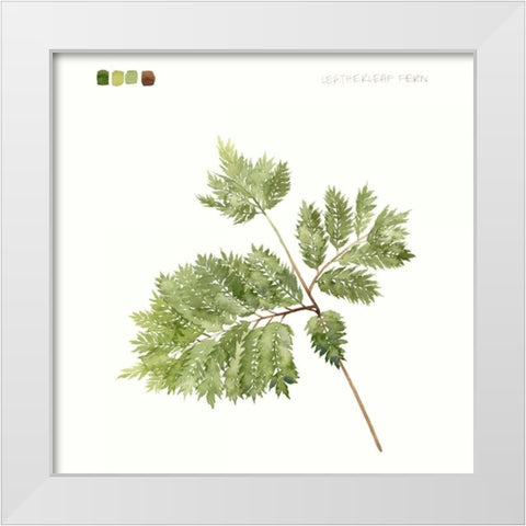 Watercolor Leaf Study II White Modern Wood Framed Art Print by Popp, Grace