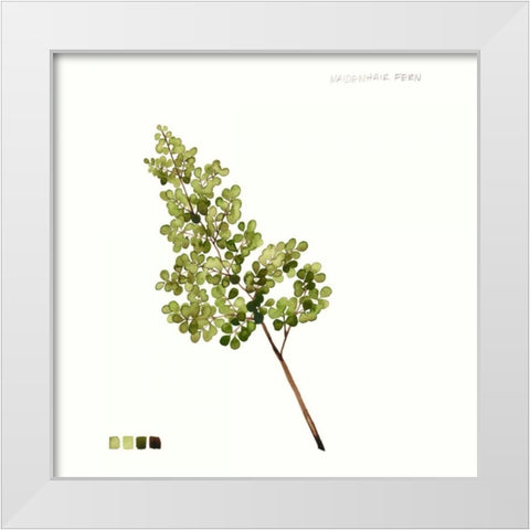 Watercolor Leaf Study III White Modern Wood Framed Art Print by Popp, Grace