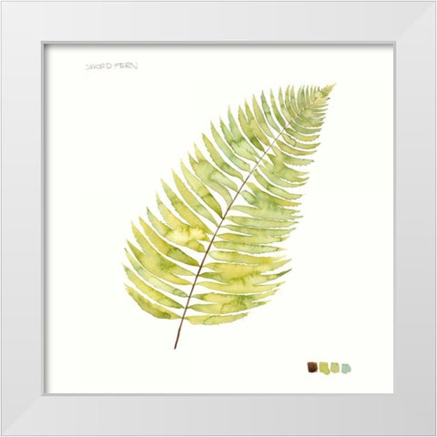 Watercolor Leaf Study IV White Modern Wood Framed Art Print by Popp, Grace