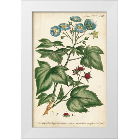 Chambray Botanical I White Modern Wood Framed Art Print by Miller, Dianne