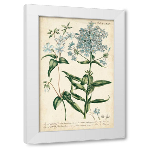 Chambray Botanical II White Modern Wood Framed Art Print by Miller, Dianne