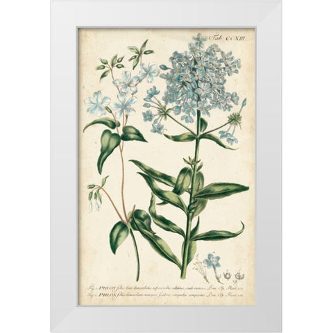 Chambray Botanical II White Modern Wood Framed Art Print by Miller, Dianne