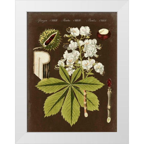 Chestnut on Suede White Modern Wood Framed Art Print by Vision Studio