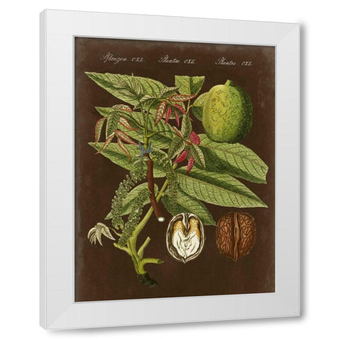 Walnut on Suede White Modern Wood Framed Art Print by Vision Studio