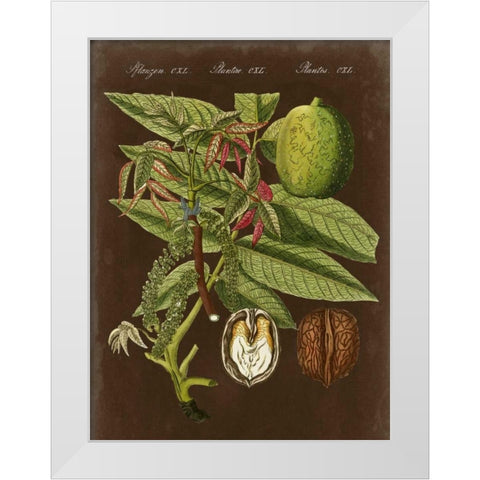 Walnut on Suede White Modern Wood Framed Art Print by Vision Studio