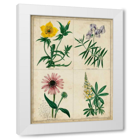 Botanical Grid IV White Modern Wood Framed Art Print by Maund, Benjamin