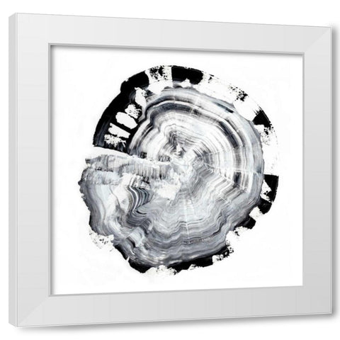 Tree Ring Abstract III White Modern Wood Framed Art Print by Harper, Ethan