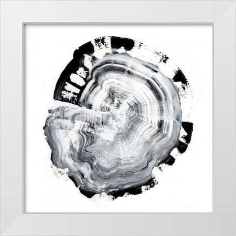 Tree Ring Abstract III White Modern Wood Framed Art Print by Harper, Ethan