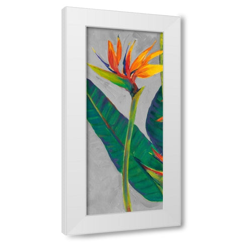 Bird of Paradise Triptych I White Modern Wood Framed Art Print by OToole, Tim