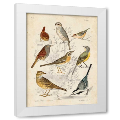 Gathering of Birds I White Modern Wood Framed Art Print by Lubbert, G.