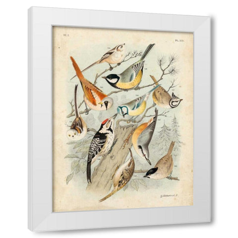 Gathering of Birds II White Modern Wood Framed Art Print by Lubbert, G.