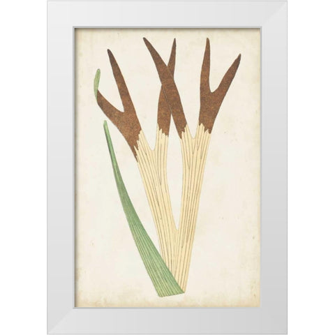 Fern Family II White Modern Wood Framed Art Print by Lowe