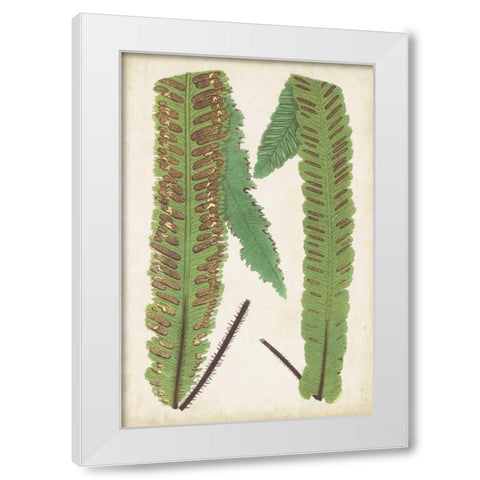 Fern Family III White Modern Wood Framed Art Print by Lowe