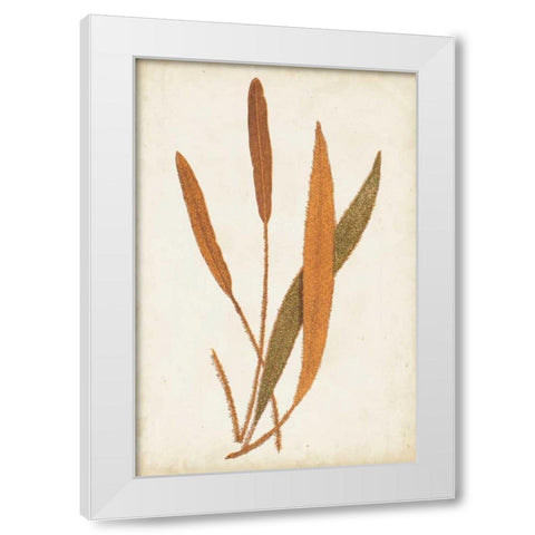 Fern Family VI White Modern Wood Framed Art Print by Lowe