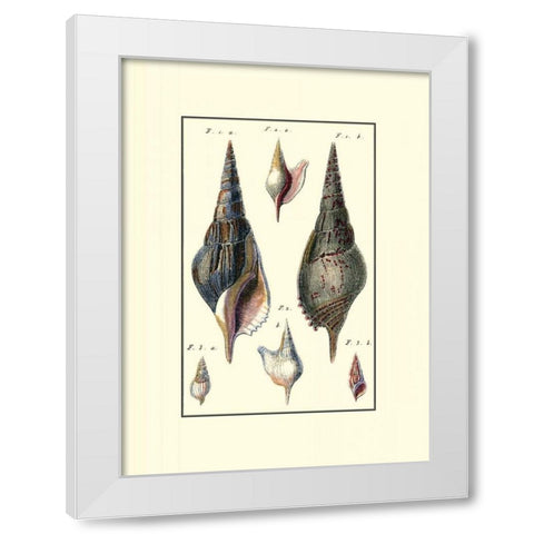 Custom Sea Shell III White Modern Wood Framed Art Print by Diderot