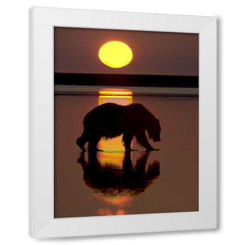 32x24 Bears at Play I (ASH) White Modern Wood Framed Art Print by PHBurchett