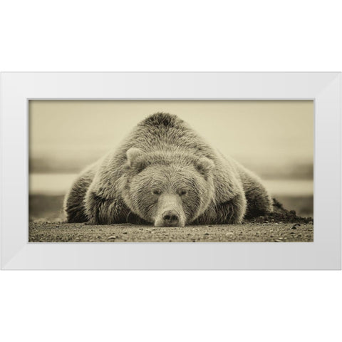 Deep Sleep (ASH) White Modern Wood Framed Art Print by PHBurchett