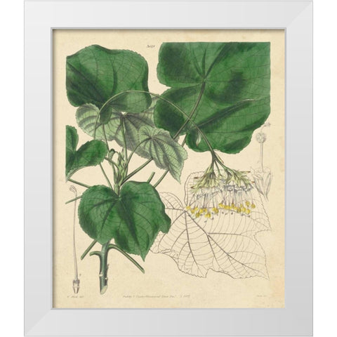 Curtis Leaves and Blooms I White Modern Wood Framed Art Print by Curtis