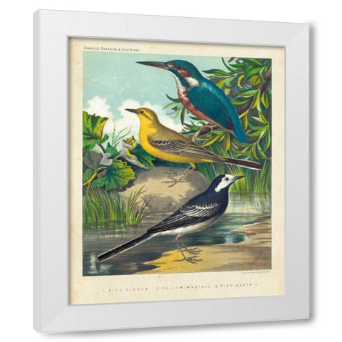 King-fisher and Wagtails White Modern Wood Framed Art Print by Cassell