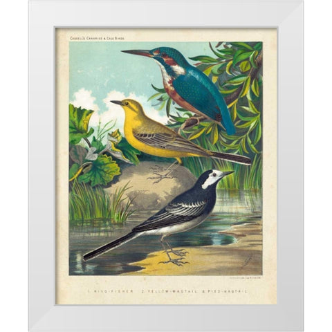 King-fisher and Wagtails White Modern Wood Framed Art Print by Cassell