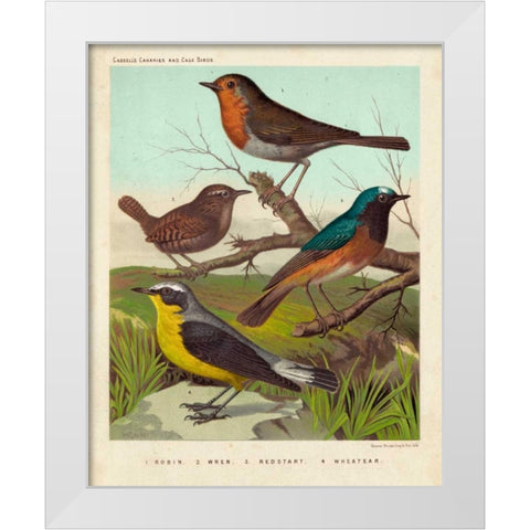 Robin, Wren and Redstart White Modern Wood Framed Art Print by Cassell