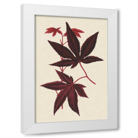 Japanese Maple Leaves I White Modern Wood Framed Art Print by Stroobant