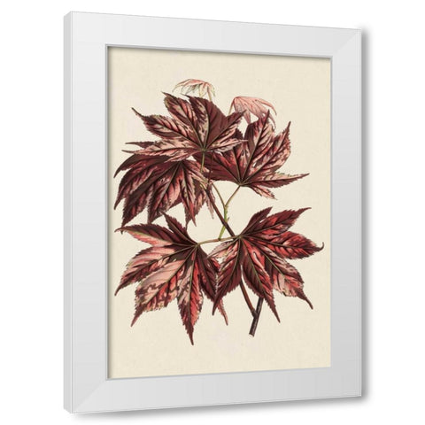 Japanese Maple Leaves II White Modern Wood Framed Art Print by Stroobant