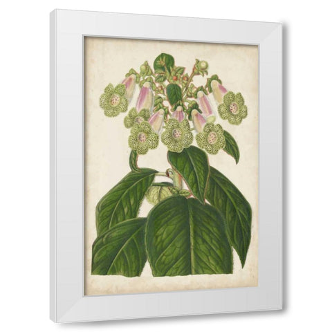 Foxglove Botanical White Modern Wood Framed Art Print by Stroobant